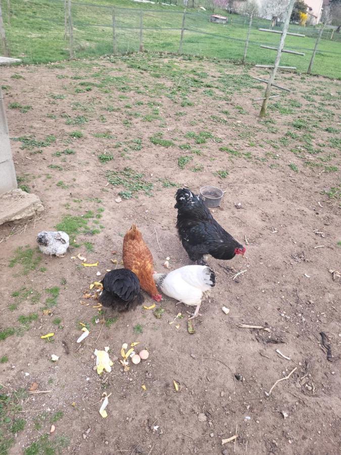Le Au Fond Du Jardin Appartement Valeille